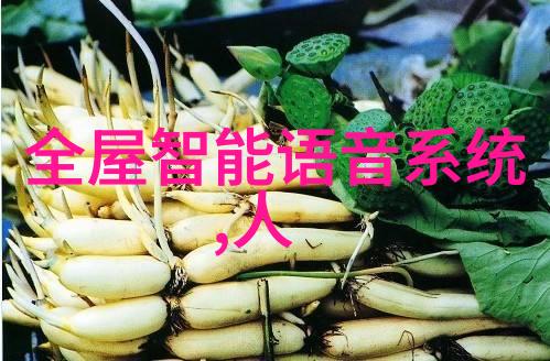 工业用途中的不锈钢压延刺孔板波纹填料应用探究
