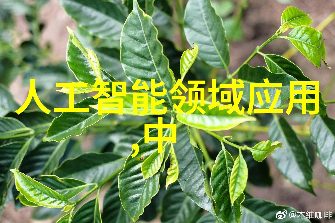 街头嘻哈女王20岁女rapper的逆袭故事