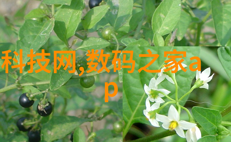 PE管材生产厂家电话-连接绿色未来了解PE管材生产厂家的专业电话服务