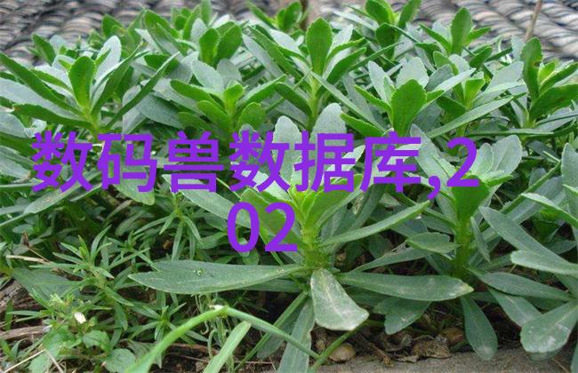 餐具消毒设备确保食品安全的关键工具