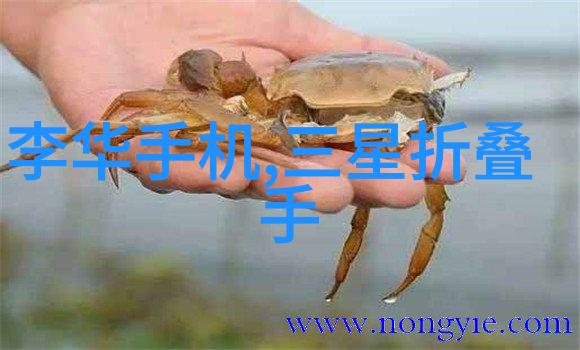 钢管厂中的秘密