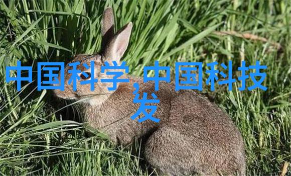 硫化风暴揭秘二氧化硫废气的净化之道