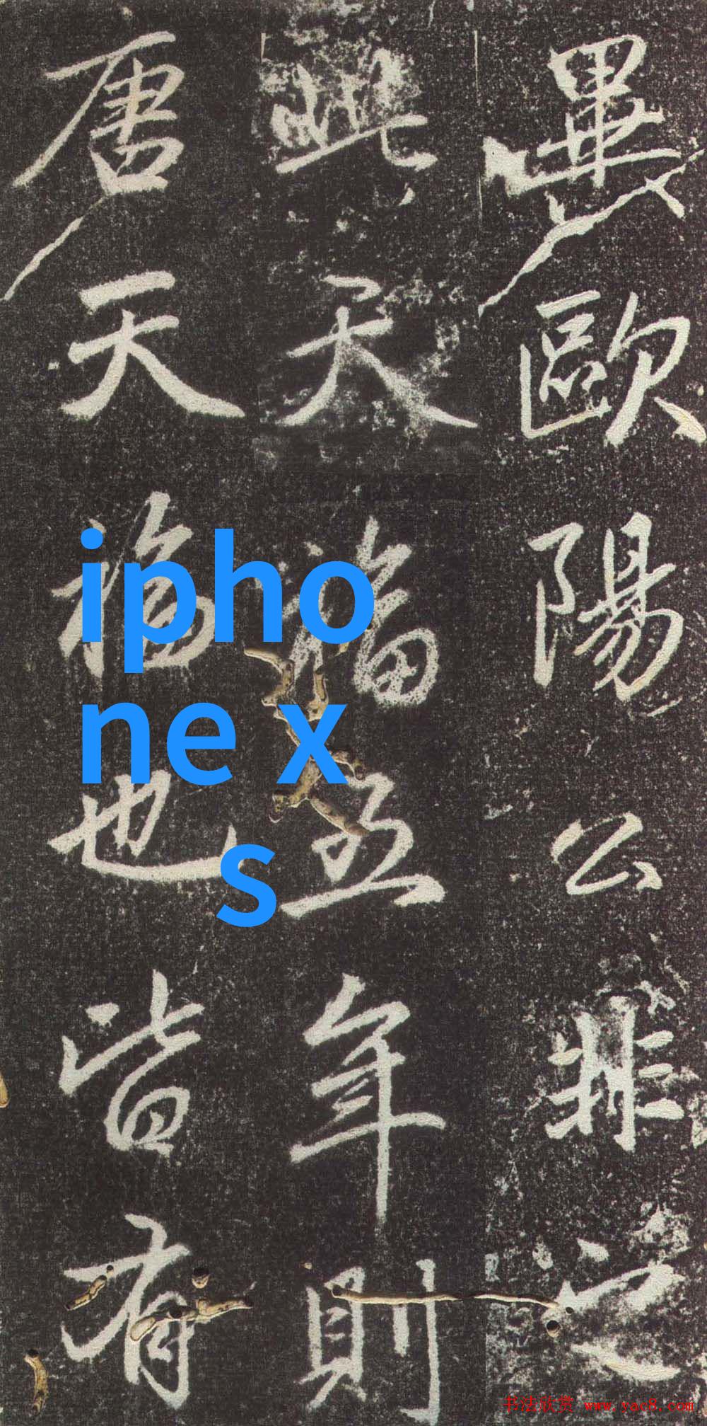 主题-批发市场进货渠道优化策略与实践