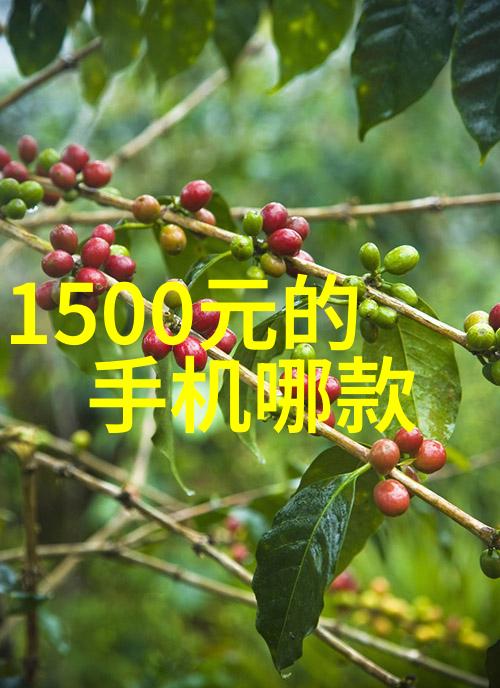 我们应该如何利用中国化工行情网进行投资风险评估呢