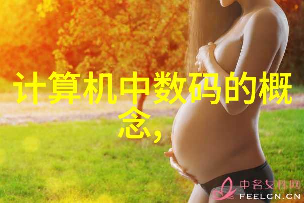 探索Aspen软件中的固定床反应器模型理解化学工艺设计的关键组成部分