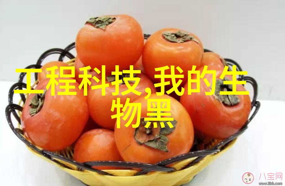 波纹管与编织管的较量谁是钢铁侠谁是缝纫爱情