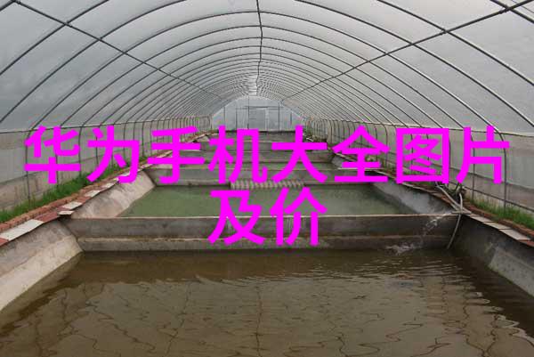 碧波荡漾镇海炼化的秘密