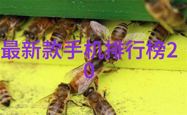 密室中的蒸汽之谜电热的秘密与死亡的预兆