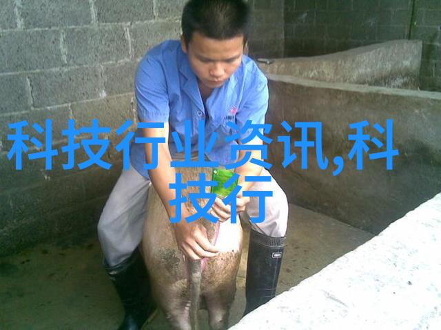 药物研发中层析柱的关键作用和挑战