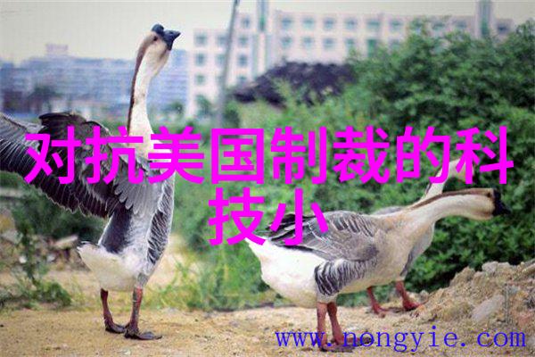 揭秘排水管价格成本分析与市场趋势
