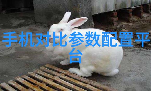 超级美味超级安全了解一下这个革命性的双重效能器