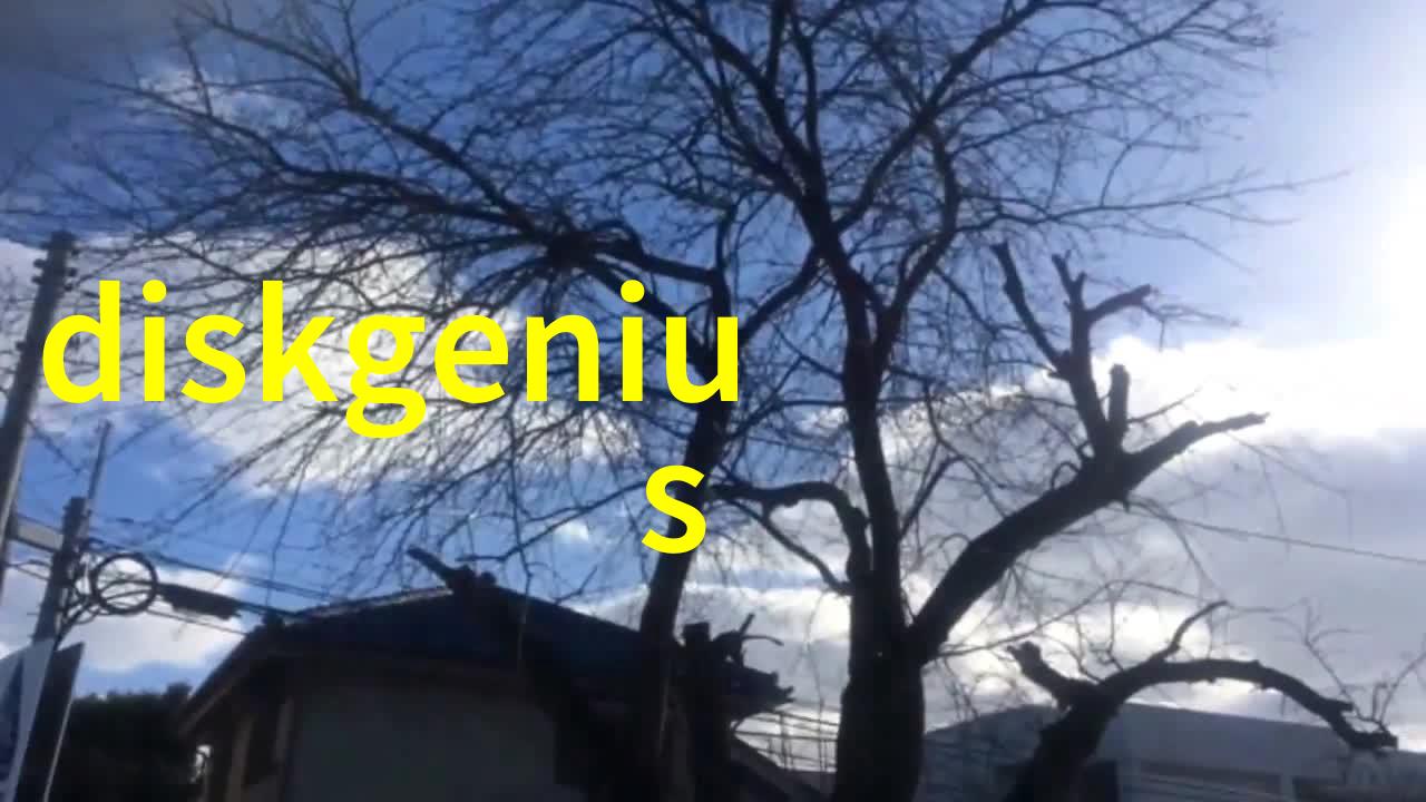 肖想你许久一段情感的追寻