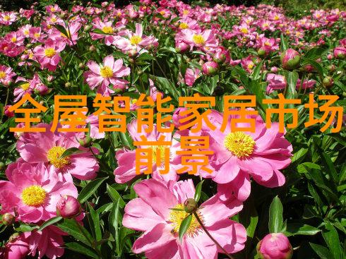 企業資訊保護大師如何通過獲得商業通訊認證成為專業人員
