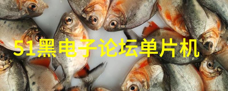 小型两相电搅拌机的操作与维护技巧
