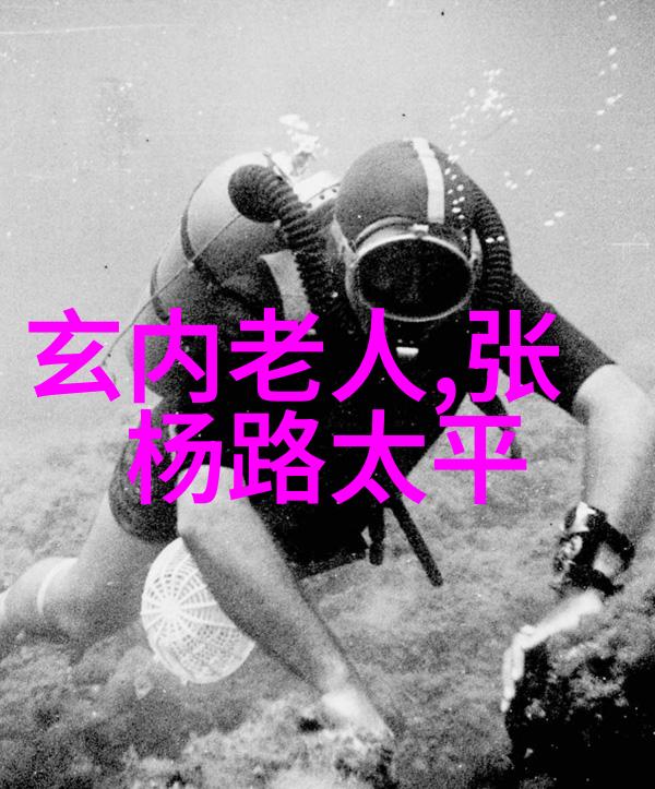 垃圾之谜粉碎机背后的秘密
