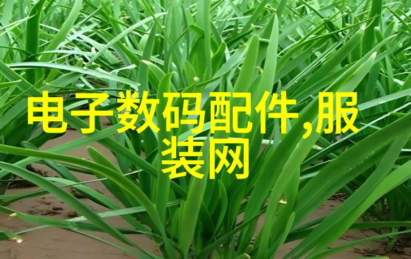 硅之梦美国芯片三巨头的数字辉煌