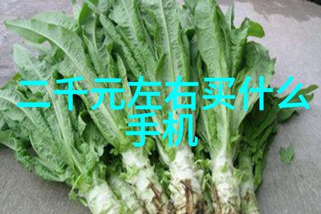 红外线杀菌设备对环境友好吗它们会不会产生二次污染
