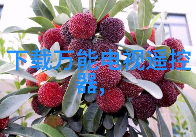 从头到尾了解纯净水生产过程中的质量监控