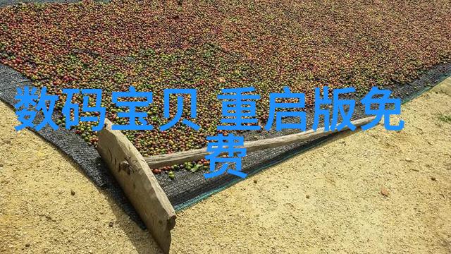 上海装修设计创意与实用并存的城市风格