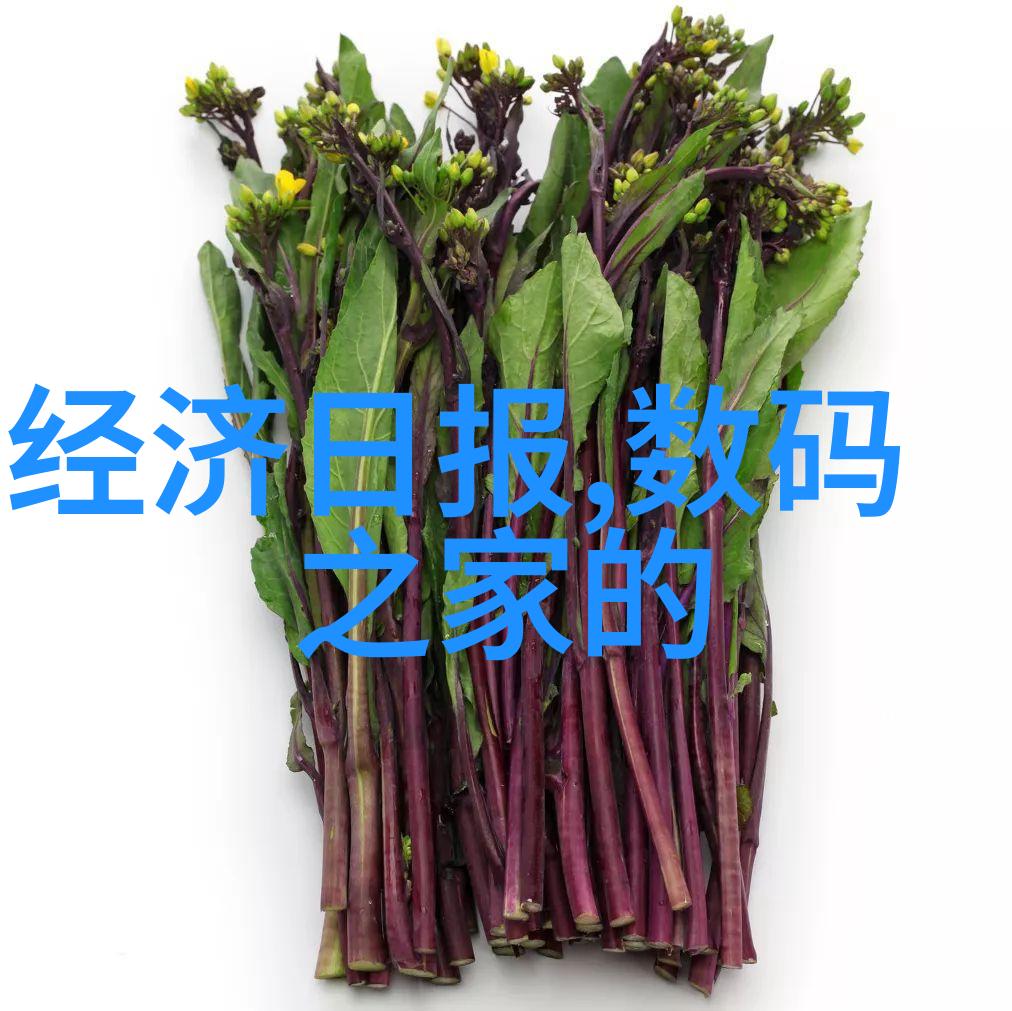 丸剂机械技术与应用概述从生产到包装的自动化解决方案