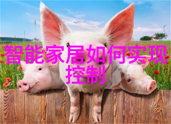 自动化输送设备我是如何让生产线变得更加流水式的