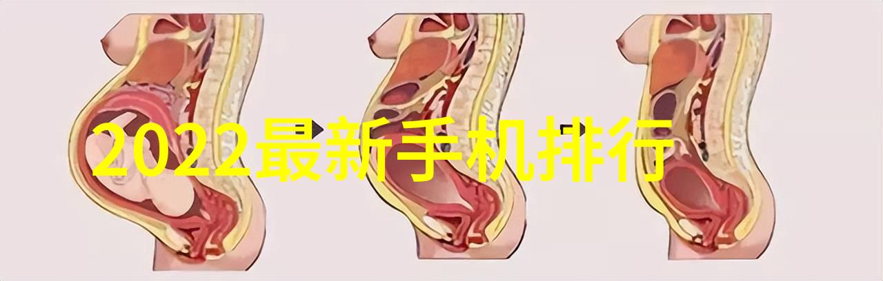 北交所基金金融星辰中的无限探索