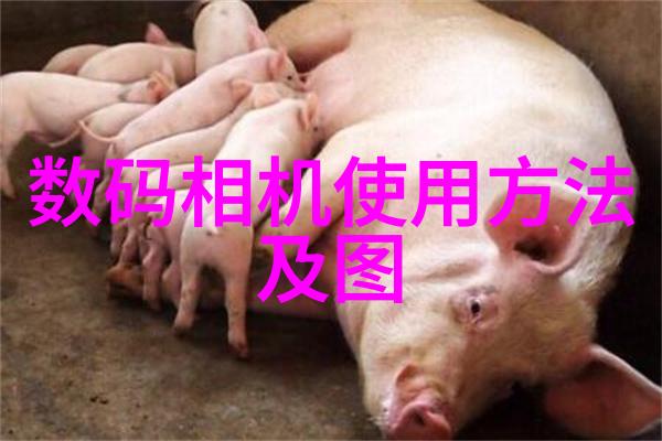 液态黏稠探索粘度的奥秘与应用