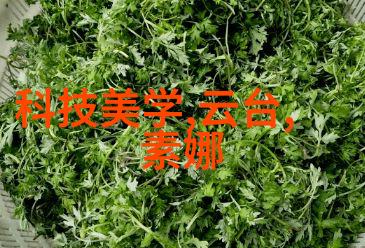基于模拟软件优化设计方法用于提升高效液体过滤系统中的752575-20微孔膜特性的研究