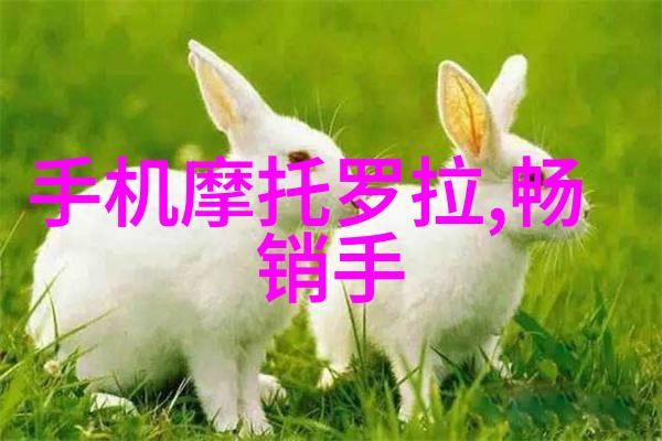 螺旋输送机设备的高效节能措施