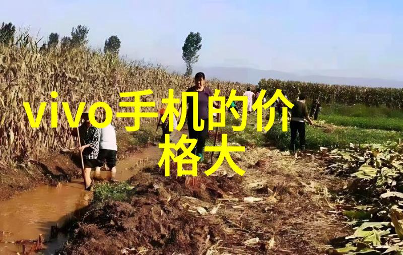 细腻与粗犷陶粒滤料的双重面貌