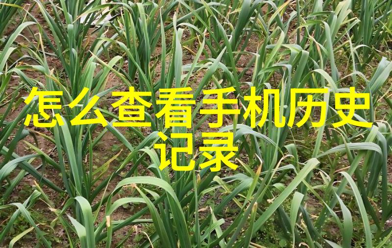 防腐材料的应用与创新发展
