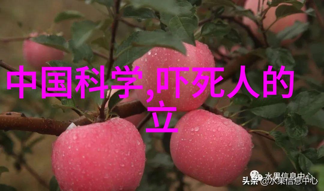 脱水机-清新再生揭秘家用脱水机的工作原理与健康益处