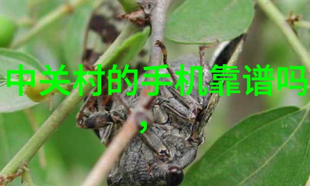 附近不锈钢护栏加工厂-工艺精湛探索附近不锈钢护栏加工厂的创新之道