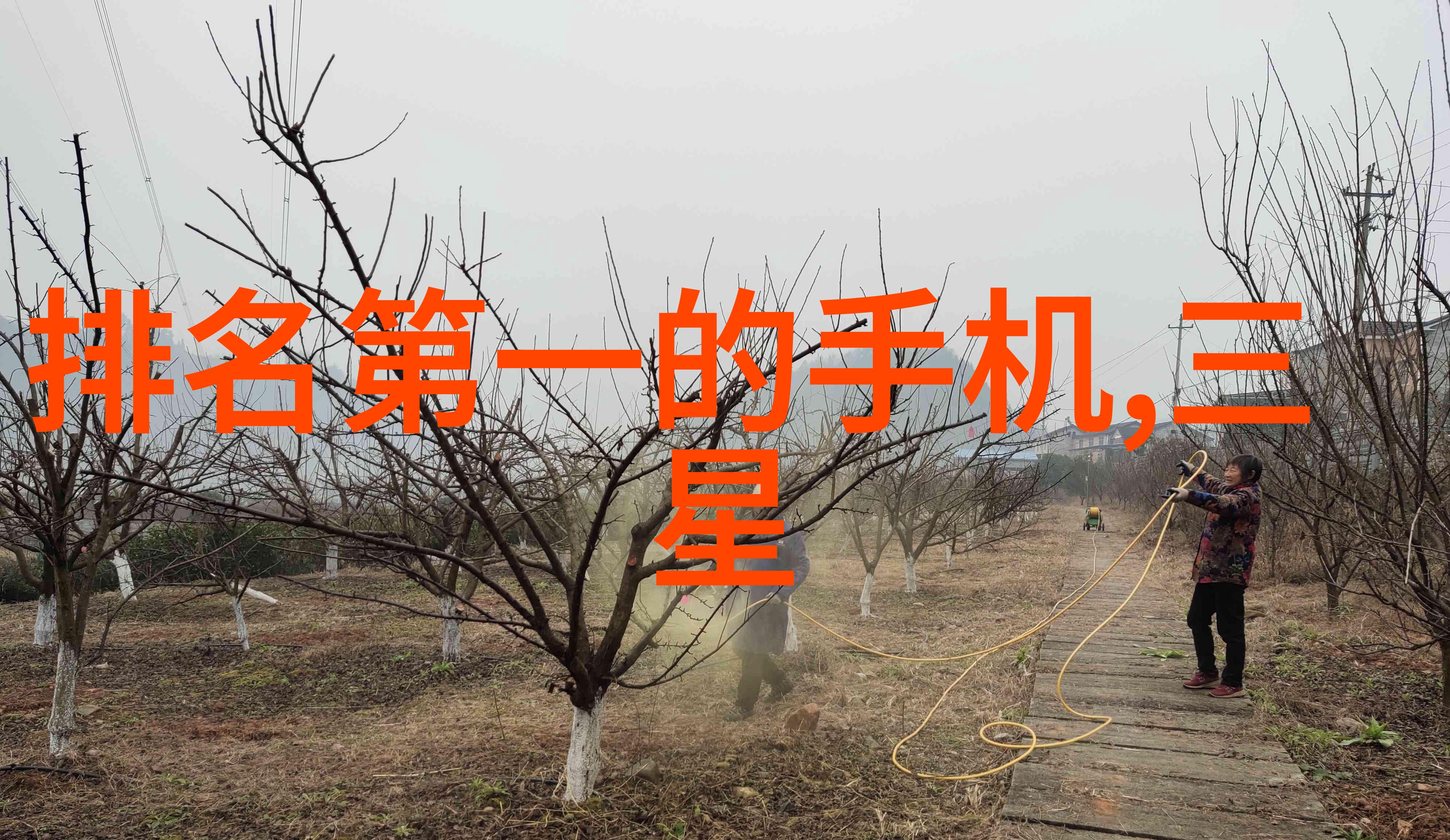 全球十大汽车芯片引领未来车联网的关键技术驱动者