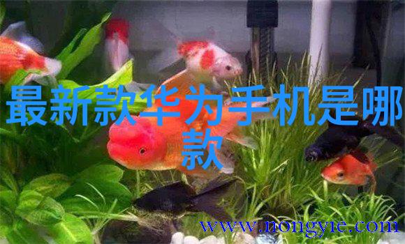 家庭环境中可用的自然材料用于检测是否安全饮用