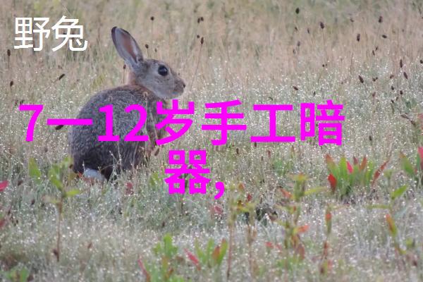 智慧升级无缝解锁人脉价值的神秘仪器