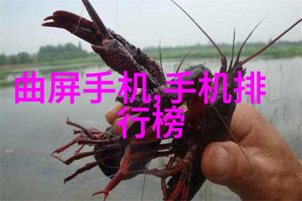 装修设计培训我是如何从业余装修爱好者变成专业装修设计师的