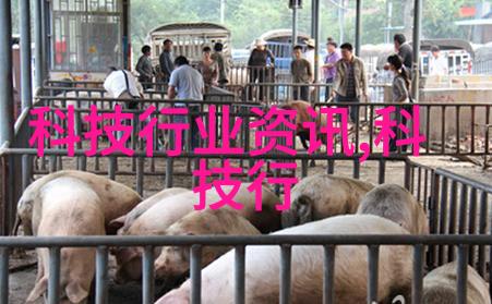 家庭困难求助之路披露心声的勇气与希望
