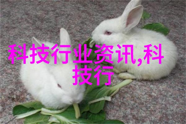 旋振筛技术在矿石分选中的应用与创新