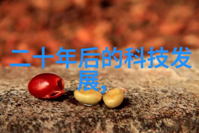 超凡武道之巅探秘那些永不屈服的战士们