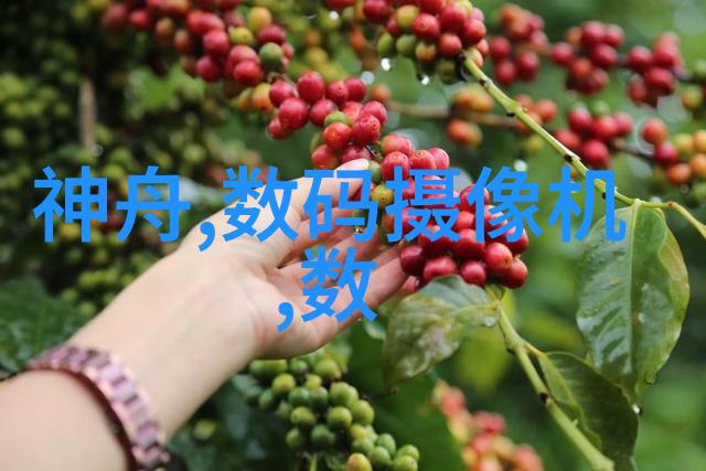 五道口职业技术学院是什么-探索北京传统工匠精神的现代技能之地