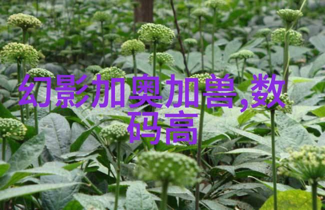 国际市场对中国本土不锈鋼價格影響調查報告