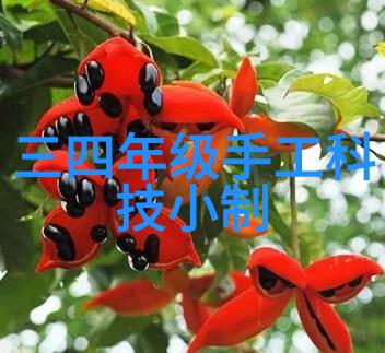 专利购买网站我是如何在网上找到了理想的专利买卖平台