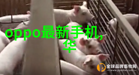 压滤机在现代化食品加工中的应用与创新