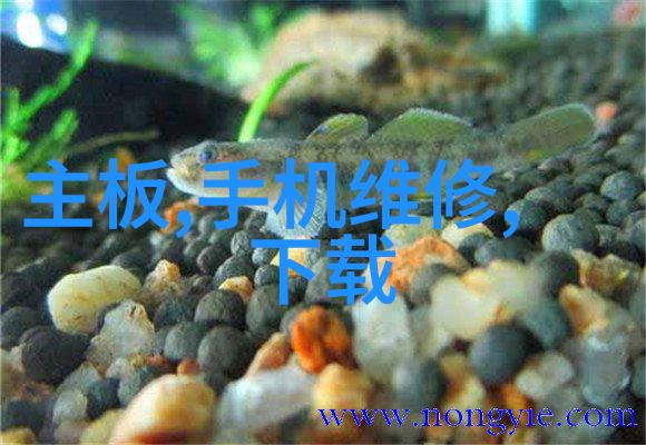 工业物流的生命线高效运输系统的关键组成部分