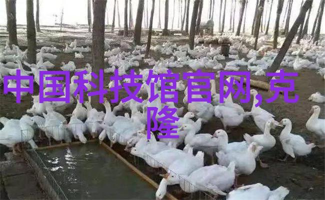 医院生物安全柜高级微生物实验操作设备