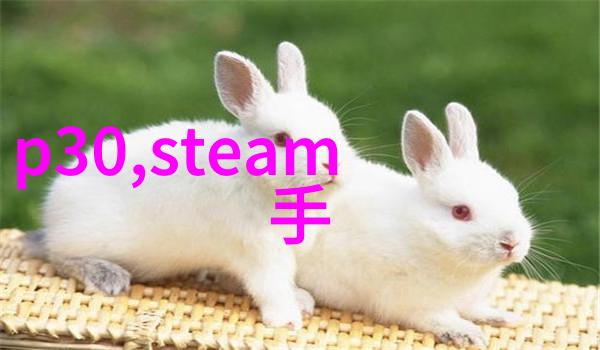 如何通过艺术品和装饰品提升客厅装修效果图的文化层面