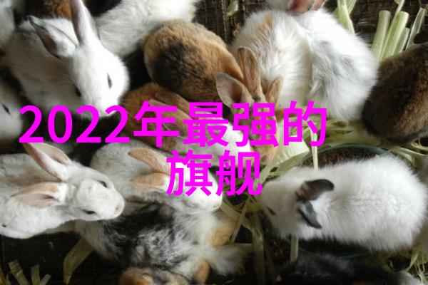DIY手工艺在主卧里的应用与创意