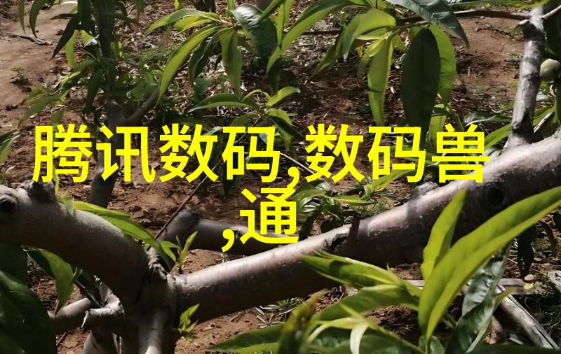 氢气处理系统设计与加氢反应釜内部结构优化