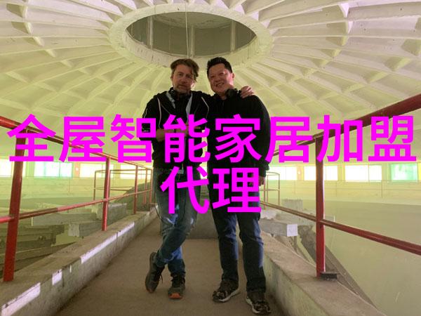 家居美学全屋吊顶的艺术与实用